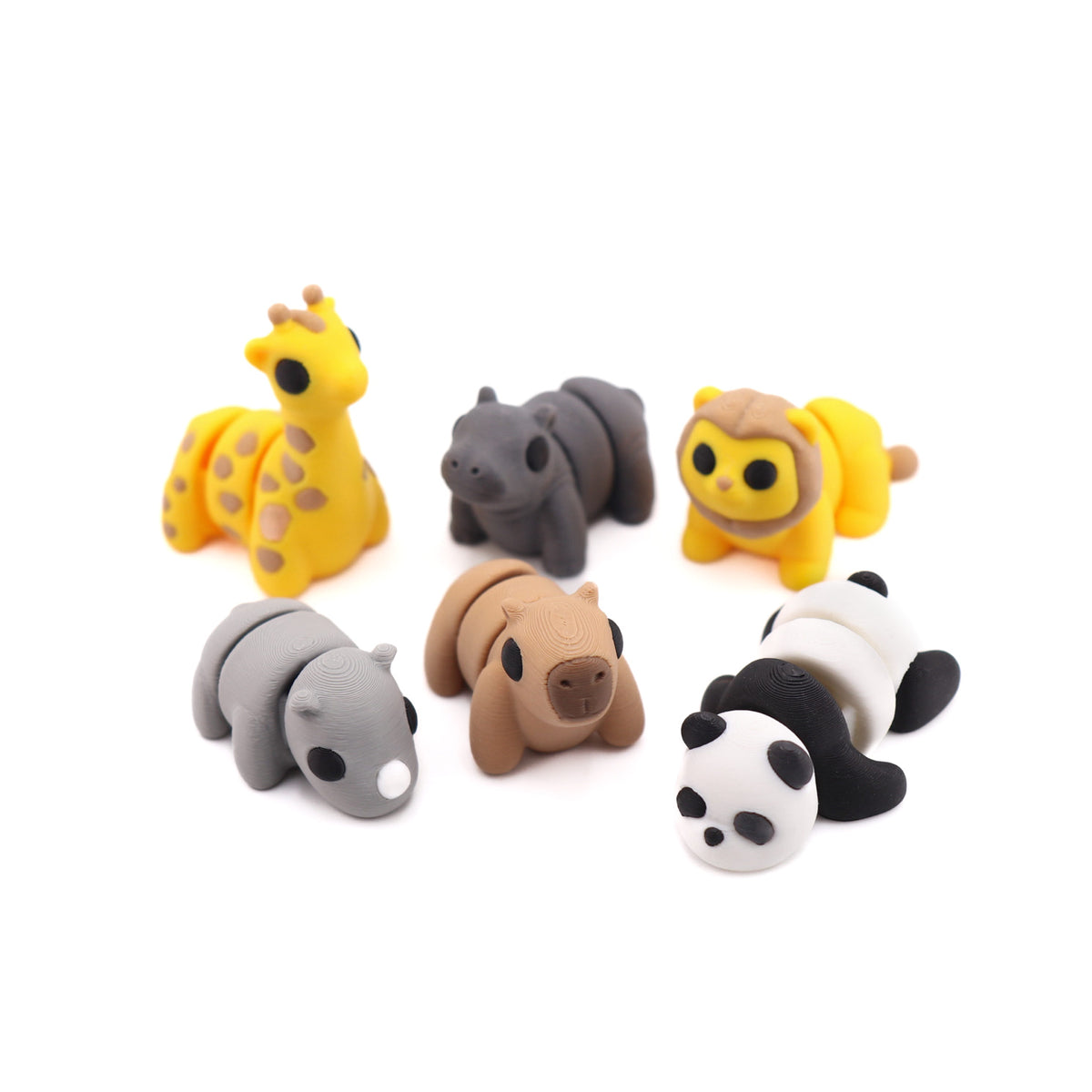 Safari Main image